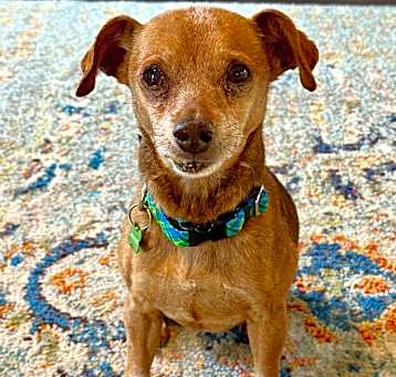 Photo of Leroy