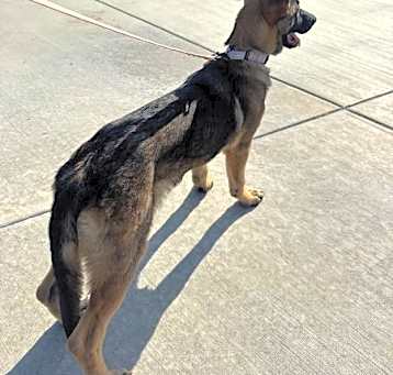 Photo of Hershey