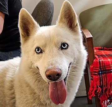 Photo of Rico