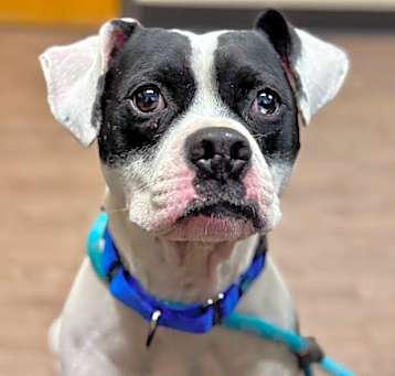 Photo of Turbo
