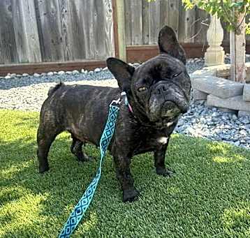 Photo of Bix