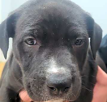 Photo of Mr. Wrinkles