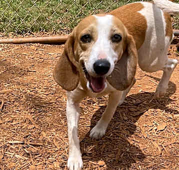 Photo of Maggie