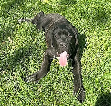 Photo of Zuko