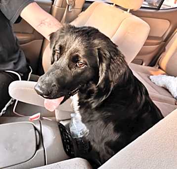 Photo of Waylon