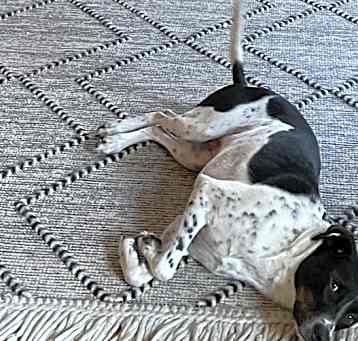 Photo of Colonel
