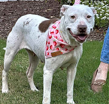 Photo of Graycie