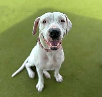 Photo of LUNA