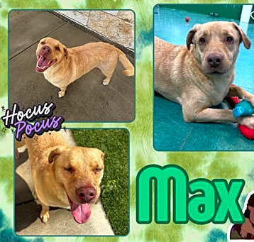 Photo of MAX