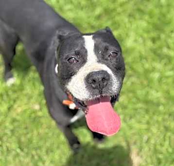 Photo of PEPPER