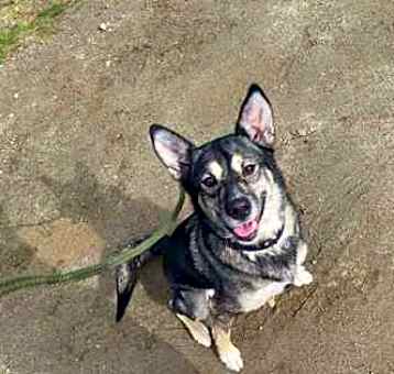 Photo of Meeka
