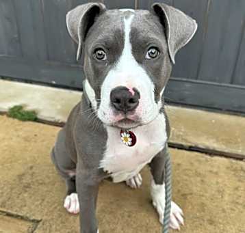 Photo of Cleo