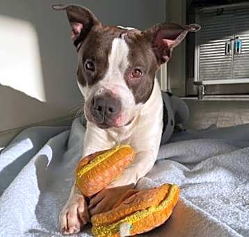 Photo of Axel