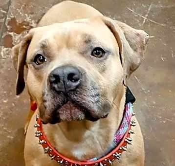 Photo of Kali