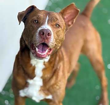 Photo of Kash AKA Angel