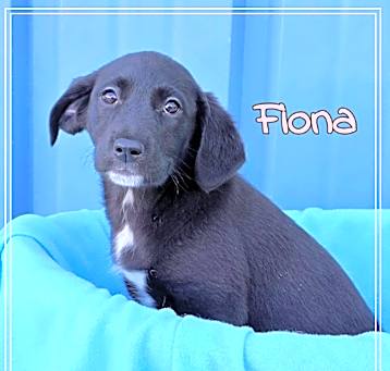 Photo of Fiona