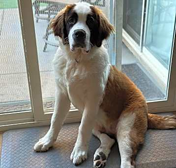 Photo of Murphy