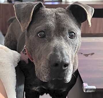 Photo of Sidney
