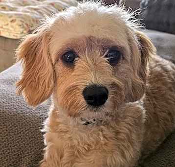 Photo of Nellie
