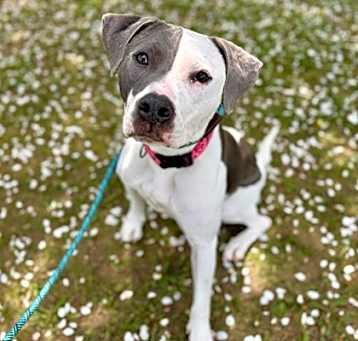 Photo of Fiona aka Leela