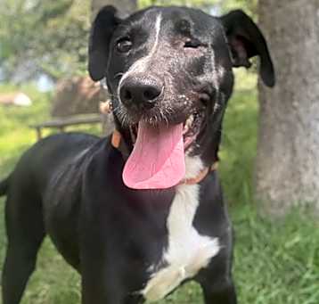 Photo of Rosy