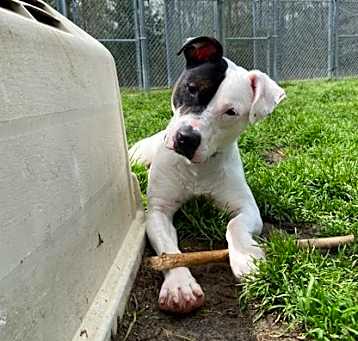Photo of Hercules