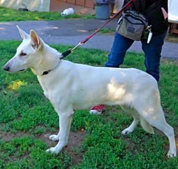 Photo of Snowflake