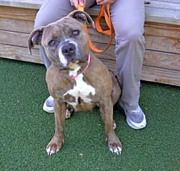 Photo of Thumbelina
