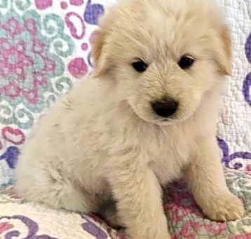 Photo of Maddie