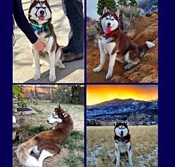 Photo of Diego
