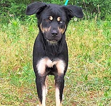 Photo of 250507  Sheeva