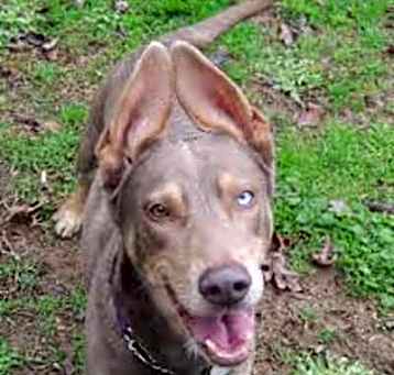 Photo of Honey