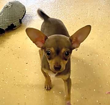 Photo of Twyla