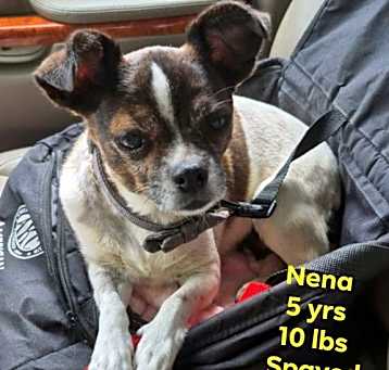 Photo of Nena
