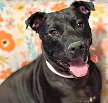 Photo of Daisy Mae