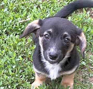 Photo of Lila