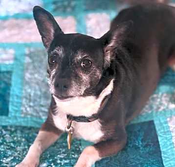 Photo of Lulu