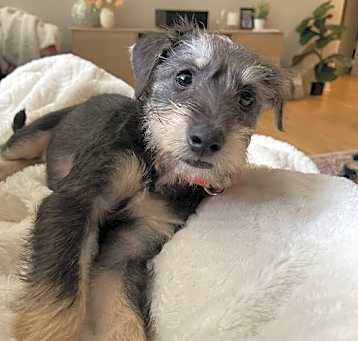 Photo of Agnes