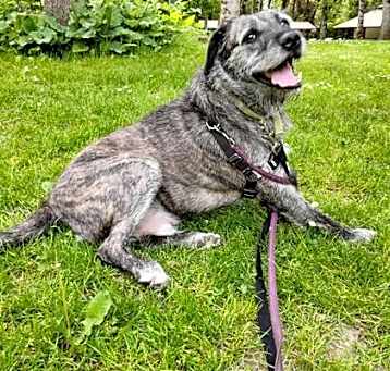 Photo of Arf