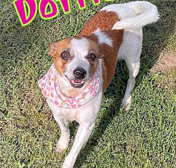 Photo of Dottie in Texarkana TX