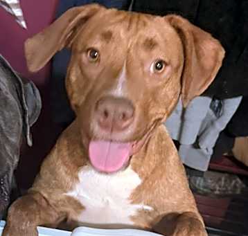 Photo of Kia