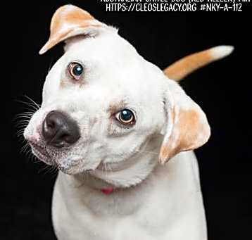 Photo of Shine AKA Goldie