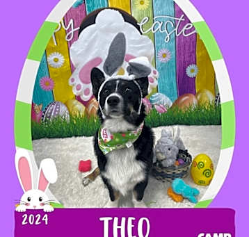 Photo of Theo