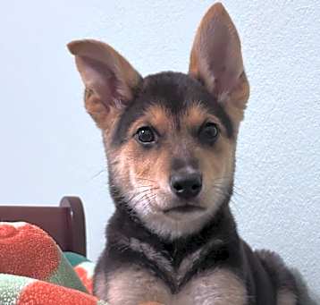 Photo of Cici