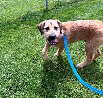 Photo of Tator