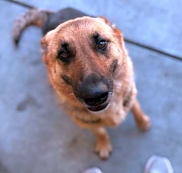 Photo of 25-0427 Candy