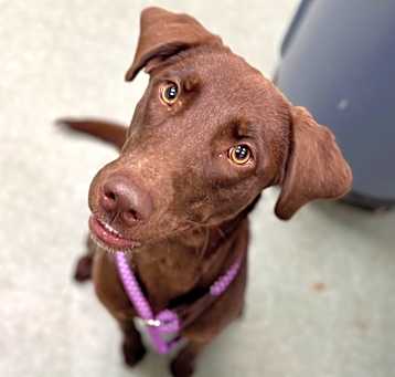 Photo of Winnie