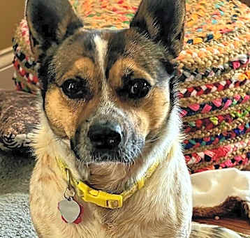 Photo of MAGGIE MAE