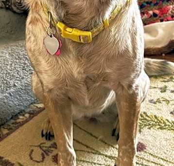 Photo of MAGGIE MAE