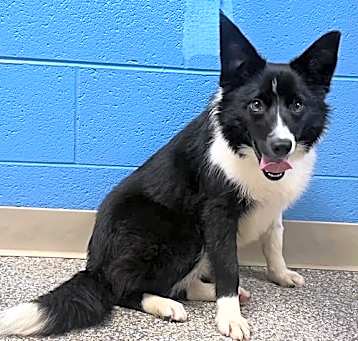 Photo of BEAUTIFUL BINDI